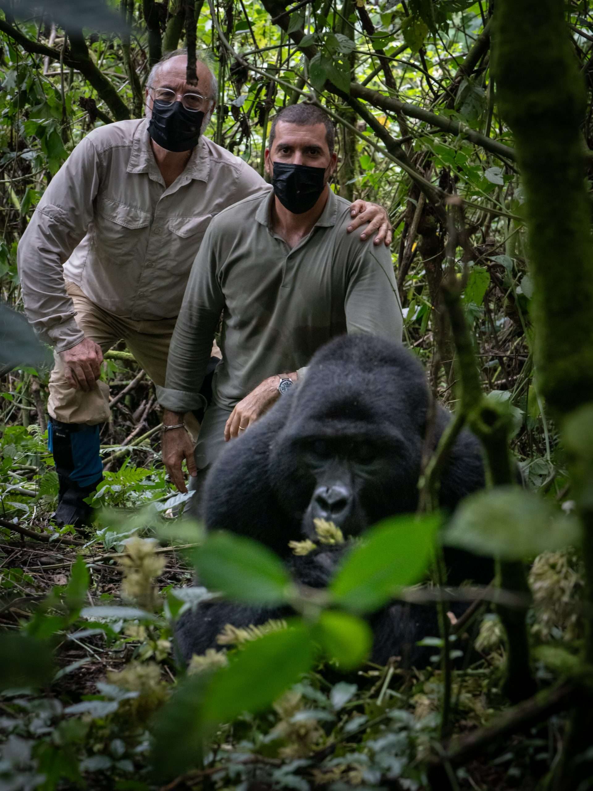 Father and son with gorilla