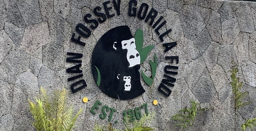 Diane fossey fund