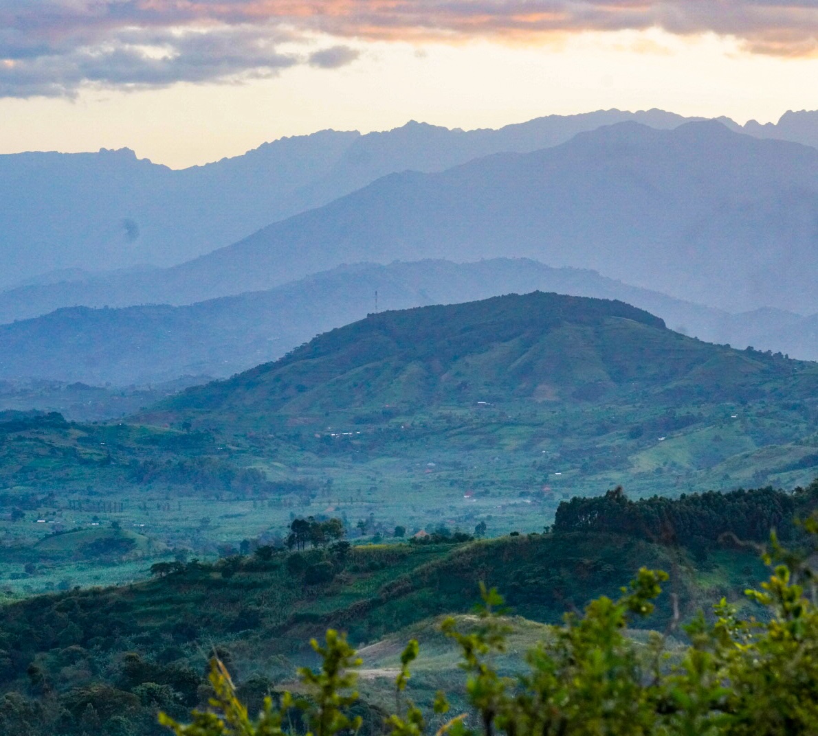 bwindi mountains
