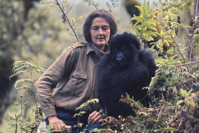 dian fossey