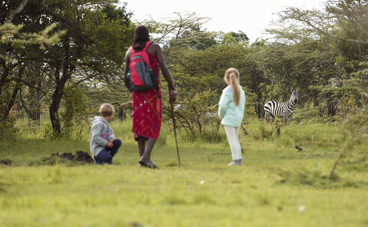 Maasai guide leading two children on a walking safari to view zebras in the Mara grasslands