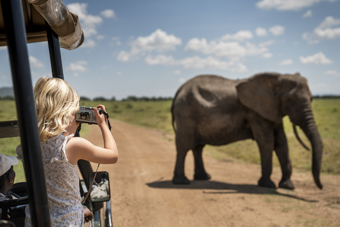 Tourist photographing an elephant from safari vehicle in Kenya's Masai Mara National Reserve