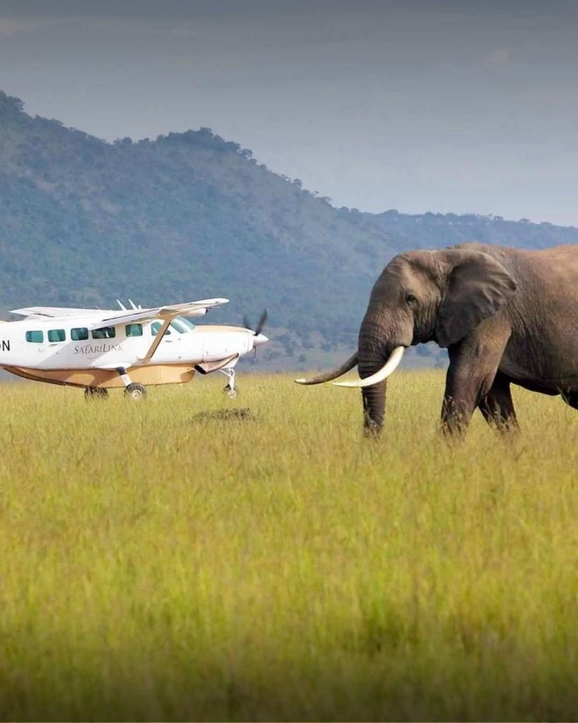 cesna caravan planes in the bush