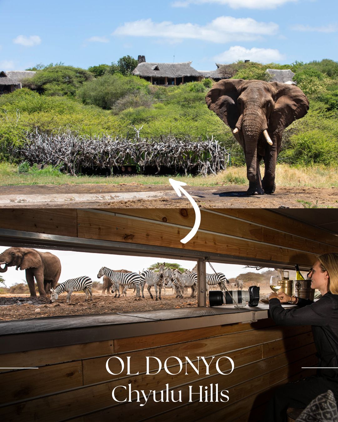 Ol donyo hide