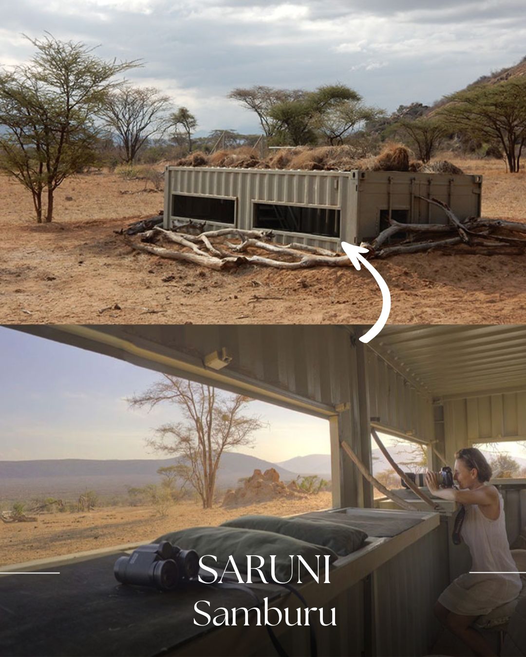 Saruni hide