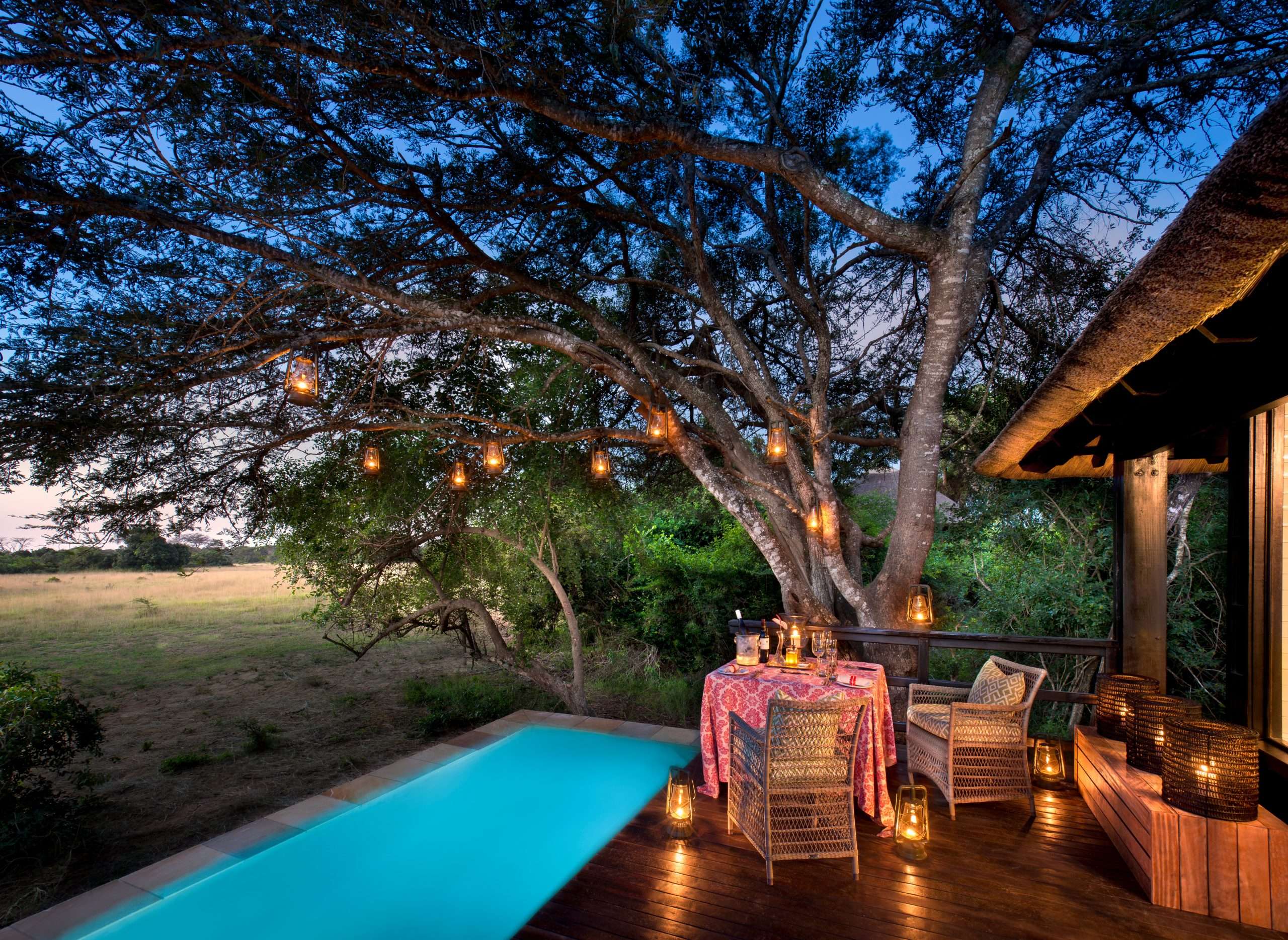 and beyond south africa Phinda