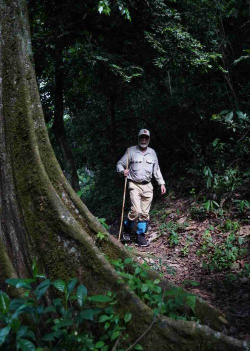 hiking in the forest of bwindi